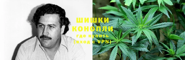 прущие крисы Инсар