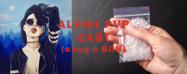 ГАЛЛЮЦИНОГЕННЫЕ ГРИБЫ Инта