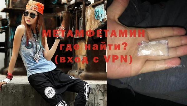 ГАЛЛЮЦИНОГЕННЫЕ ГРИБЫ Инта