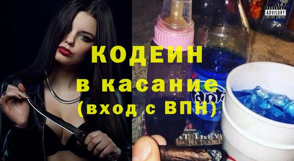 ГАЛЛЮЦИНОГЕННЫЕ ГРИБЫ Инта