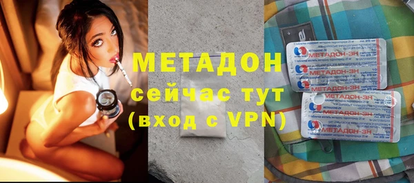 ГАЛЛЮЦИНОГЕННЫЕ ГРИБЫ Инта